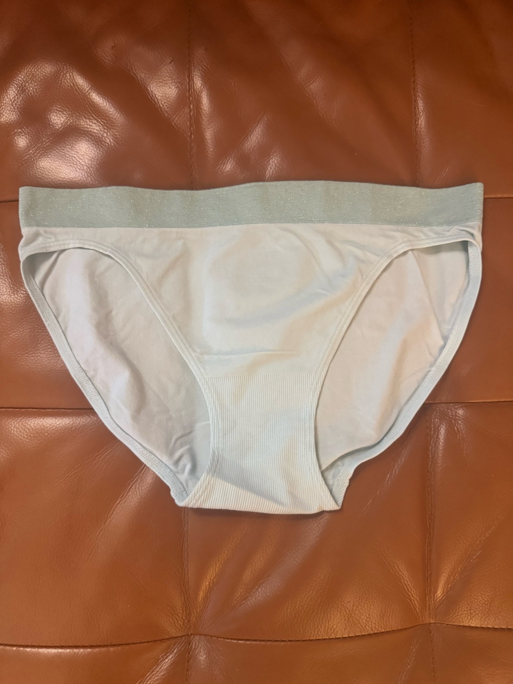 Victoria's Secret Pastel Mint Panty w/ Sparkle Waistband
